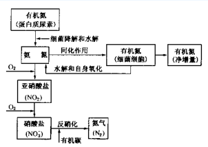 氨氮廢水處理公司